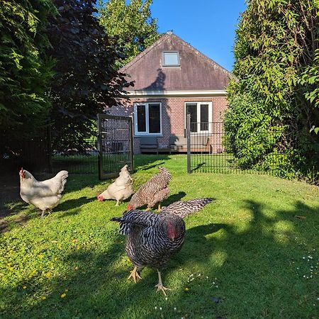 Boutique B&B Villa Van Voss エッテン・ルール エクステリア 写真
